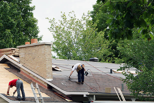 Best Storm Damage Roof Repair  in Rainier, OR